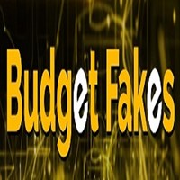 Портфолио BudgetFakes